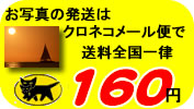 送料全国均一160円